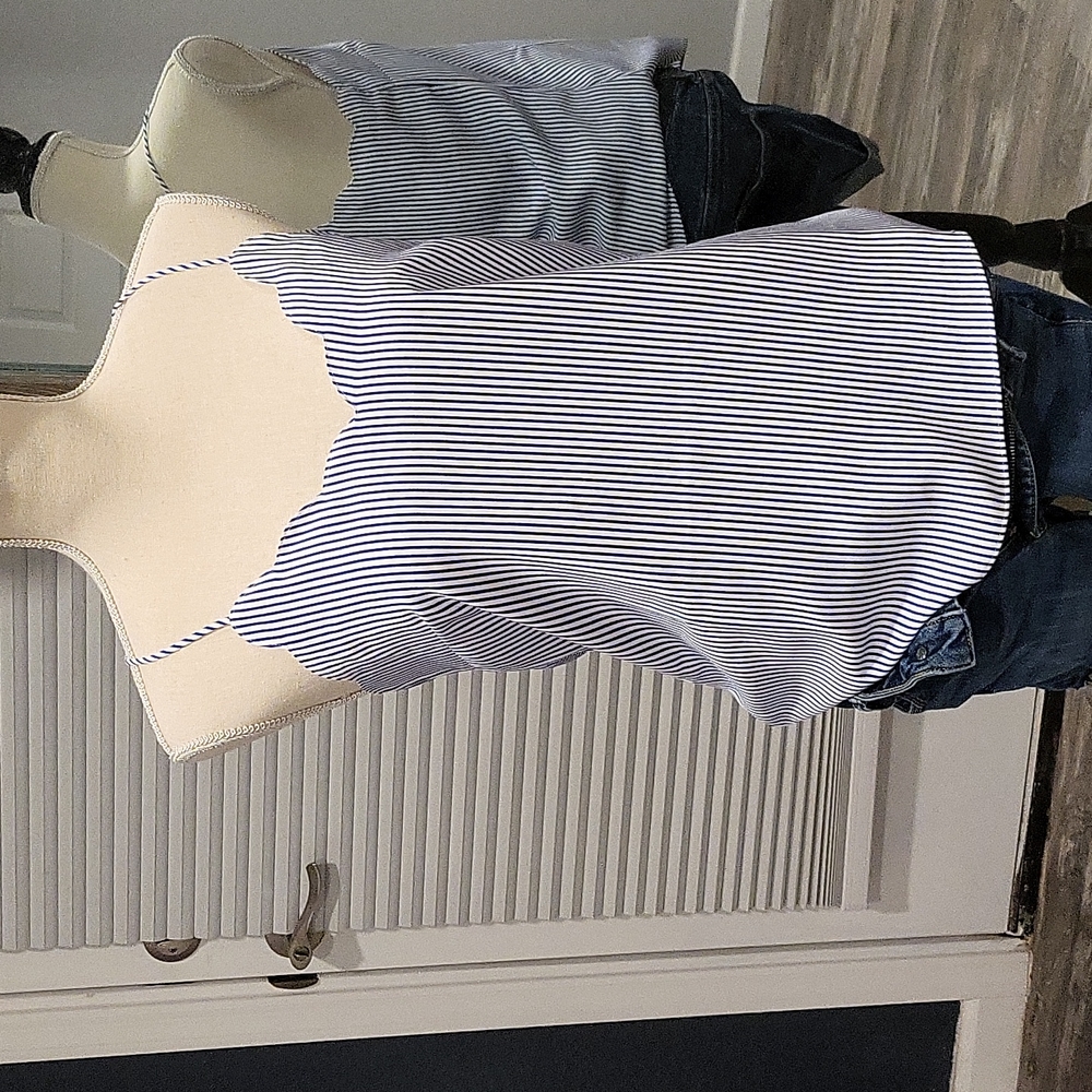 J crew lined camisole NWOT sz 2